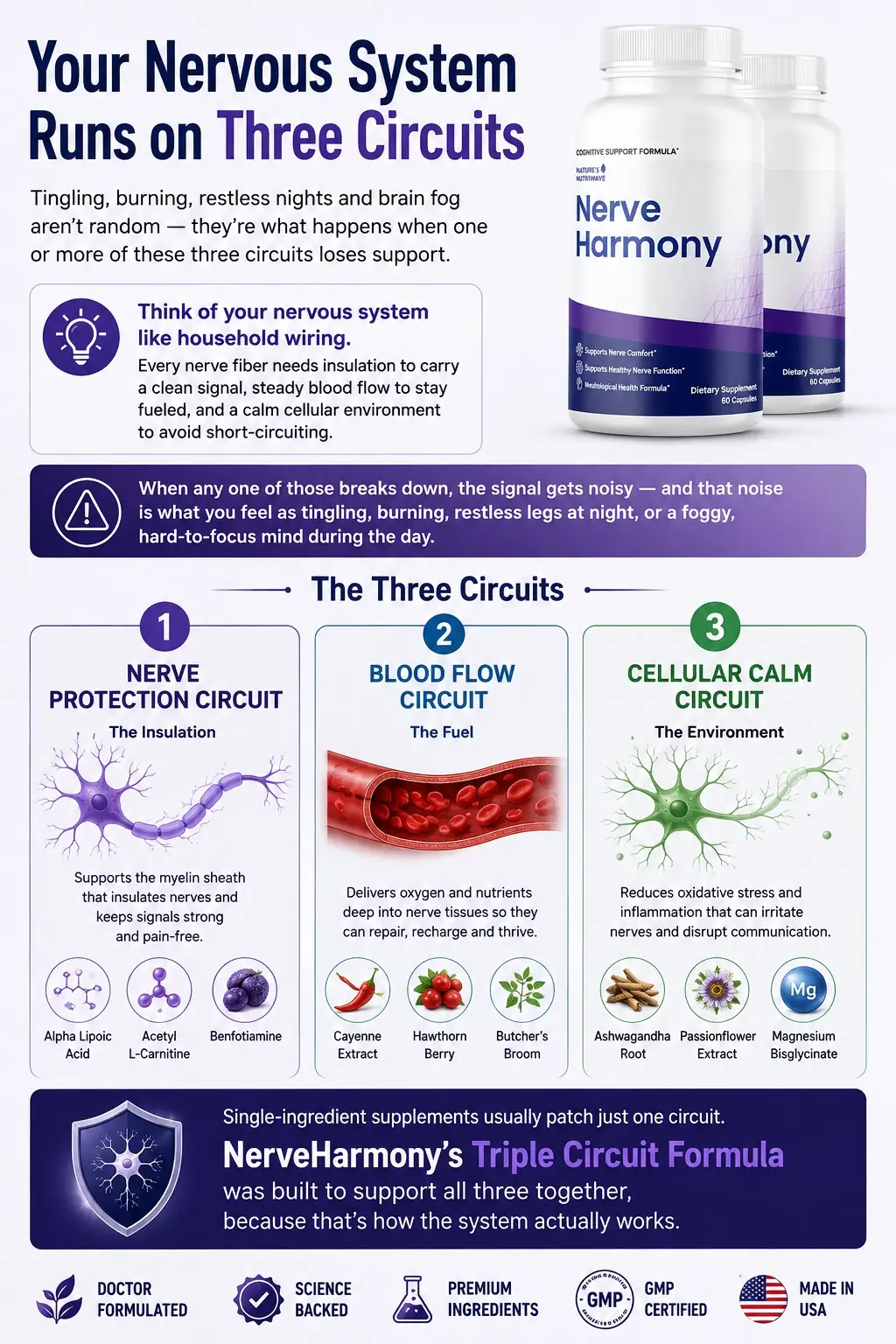 How NerveHarmony works